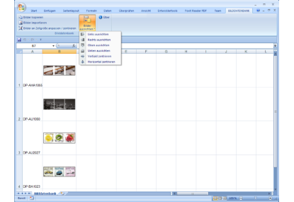 Bilddatenbank (Excel)